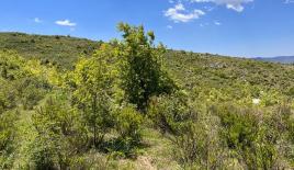 Terreno per 750 000 euro a Alanya, Turchia