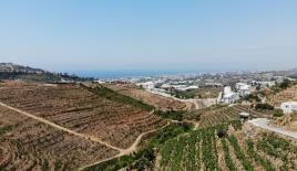 Terrain pour 210 000 Euro à Alanya, Turquie