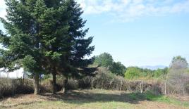 Terreno para 19 000 euro en Calcídica, Grecia