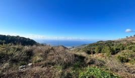 Terrain pour 1 250 000 Euro à Alanya, Turquie