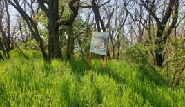 Land for 95 000 euro in Hungary