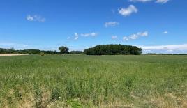 Land for 4 700 000 euro in Hungary