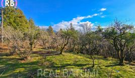 Land for 38 434 euro in Batumi, Georgia