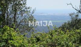 Land for 58 000 euro in Portugal