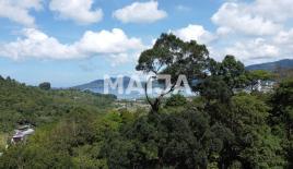 Terrain pour 861 253 Euro sur l'île de Phuket, Thaïlande