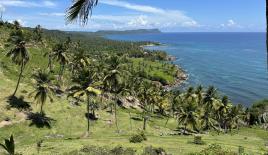 Terrain pour 4 684 925 Euro à Samaná, République dominicaine