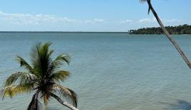 Terrain pour 76 662 Euro à Samaná, République dominicaine