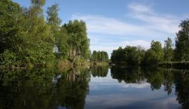 Terrain à Tohmajarvi, Finlande (prix sur demande)