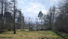 Land for 53 000 euro in Latvia