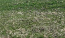 Terreno para 199 000 euro en Austria