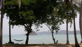 Terrain pour 235 157 Euro en Thaïlande