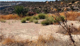 Land for 270 000 euro in Limassol, Cyprus
