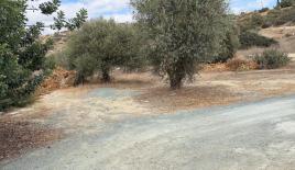 Grundstück für 5 500 000 euro in Germasogeia, Zypern
