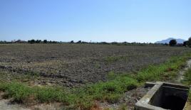 Land for 325 000 euro in Catral, Spain