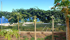 Land for 465 000 euro on Tenerife, Spain