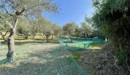 Terrain pour 18 000 Euro à Scalea, Italie