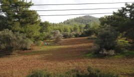 Land for 230 000 euro in Larnaca, Cyprus