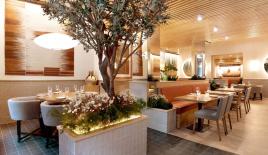 Cafe, restaurant for 370 000 euro in Castelldefels, Spain