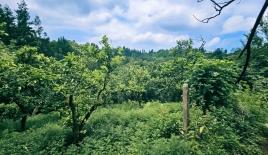 Land for 42 990 euro in Batumi, Georgia
