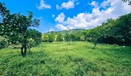 Land for 60 186 euro in Batumi, Georgia