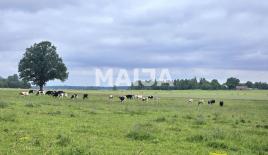 Terreno para 3 000 000 euro en Letonia