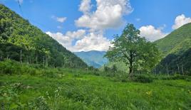 Land for 42 990 euro in Batumi, Georgia