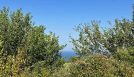 Land for 219 000 euro in Dobra Voda, Montenegro