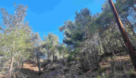 Land for 1 298 818 euro in Moniatis, Cyprus