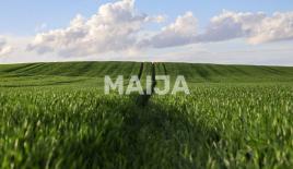 Land for 6 300 000 euro in Latvia