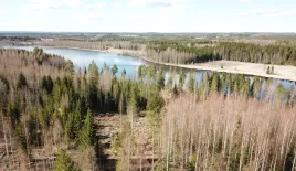 Cottage pour 40 000 Euro à Pielavesi, Finlande