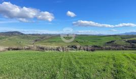 House for 2 000 000 euro in Montalcino, Italy