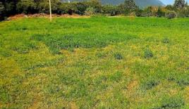 Land for 1 400 000 euro in San Felice del Benaco, Italy