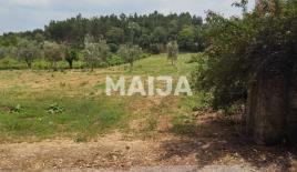 Terrain pour 120 000 Euro au Portugal