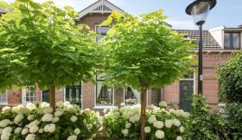 Maison pour 425 000 Euro à Zaandam, Pays-Bas