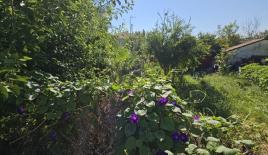 Terreno para 200 000 euro en Kassandra, Grecia