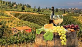 Biens commerciaux pour 35 000 000 Euro à Prato, Italie
