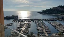 Apartment für 39 600 000 euro in Fontvieille, Monaco