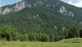 Terrain pour 720 000 Euro à Ljubljana, Slovénie