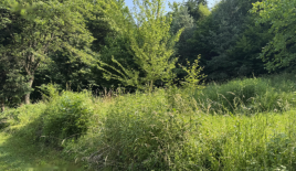Terrain pour 550 000 Euro à Ljubljana, Slovénie