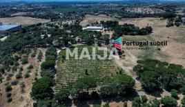 Terreno per 6 500 000 euro a Torres Novas, Portogallo