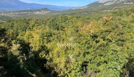 Land for 50 000 euro in Danilovgrad, Montenegro