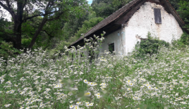 Farm für 45 000 euro in Krško, Slowenien