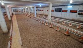 Granja para 880 000 euro en Slovenska Bistrica, Eslovenia