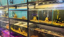 Negozio per 143 068 euro a Antalya, Turchia