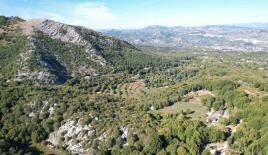 Terrain pour 55 000 Euro à Cetinje, Monténégro