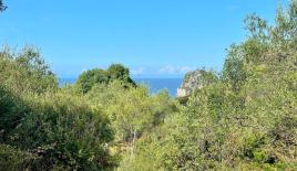 Terreno per 250 000 euro a Corfù, Grecia