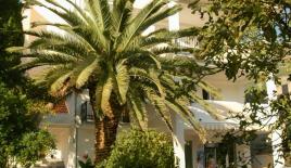 Hotel, albergo per 450 000 euro a Bar, Montenegro