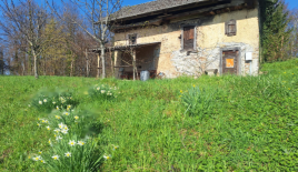 House for 80 000 euro in Rogaska Slatina, Slovenia