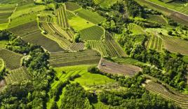 Land for 100 000 euro in Ajdovscina, Slovenia