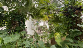 House for 1 050 000 euro in Opatija, Croatia